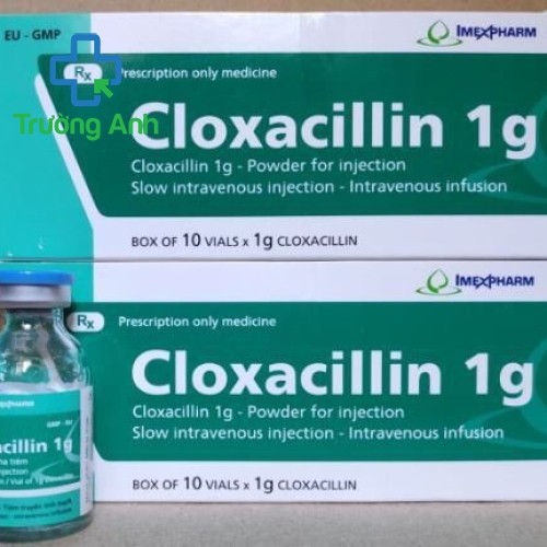 Cloxacillin 1G