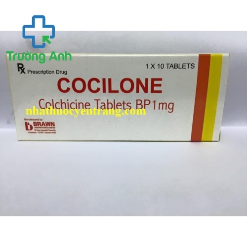 Cocilone