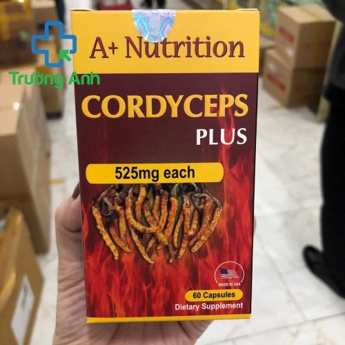 Cordyceps Plus