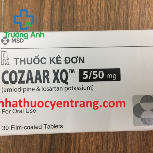 Cozaar Xq 5/50 Mg