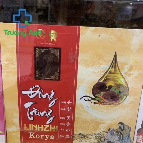 Đông Trùng Linhzhi Korya