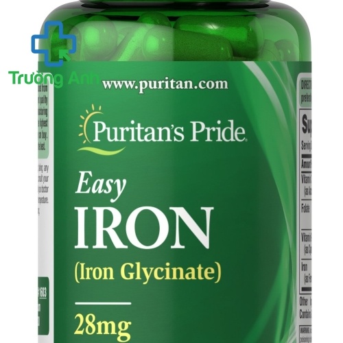 Easy Iron 28Mg Puritan's Pride