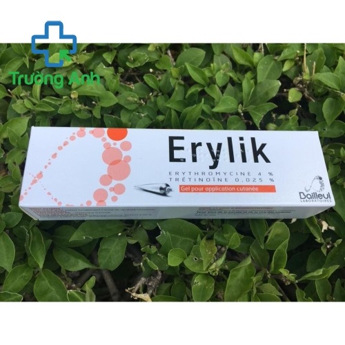 Erylik