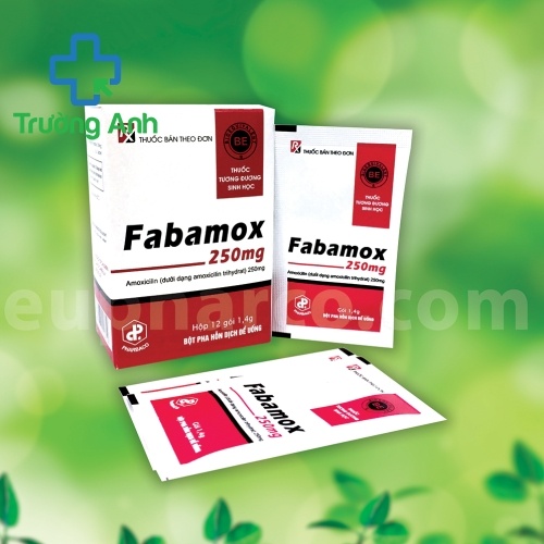 Fabamox 250Mg