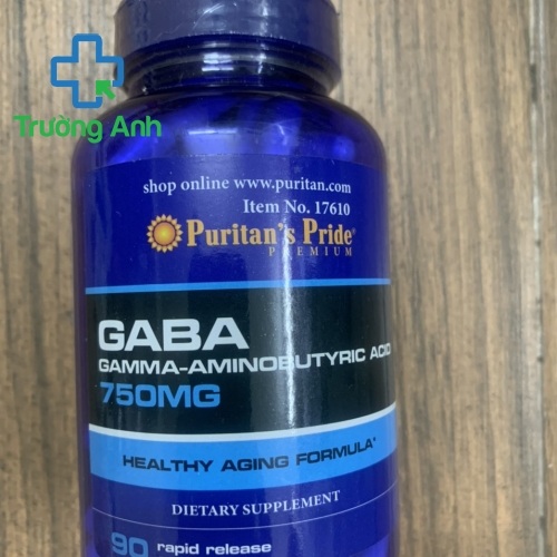 Gaba 750Mg Puritan’s Pride