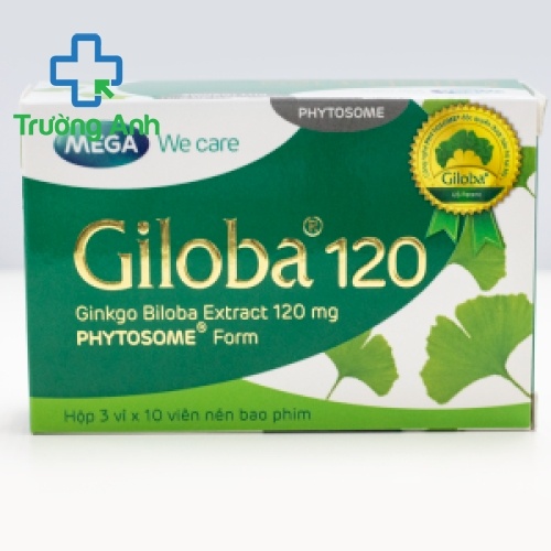 Giloba 120Mg