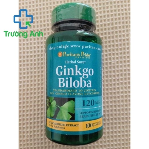 Ginkgo Biloba 120Mg Puritan's Pride 100 Viên