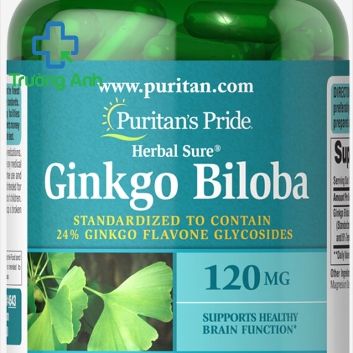 Ginkgo Biloba 120Mg Puritan's Pride 200 Viên