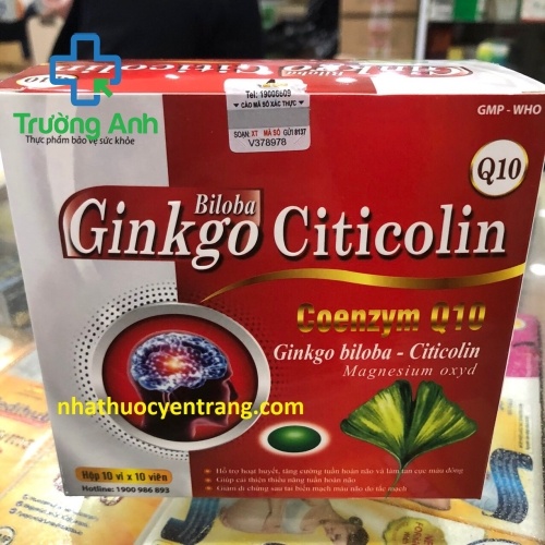 Ginkgo Biloba Citicolin Q10