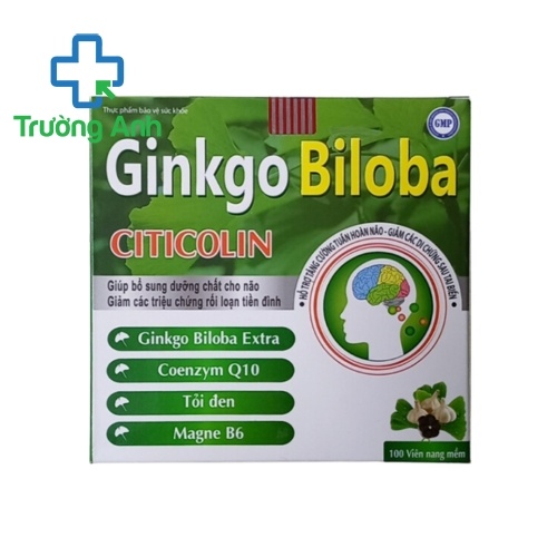Ginkgo Biloba Citicolin