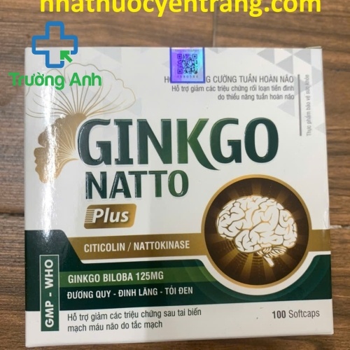 Ginkgo Natto Plus Vinaphar