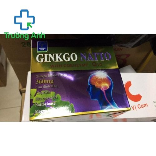 Ginkgo Natto With Coenzym Q10-360Mg Merck Usa