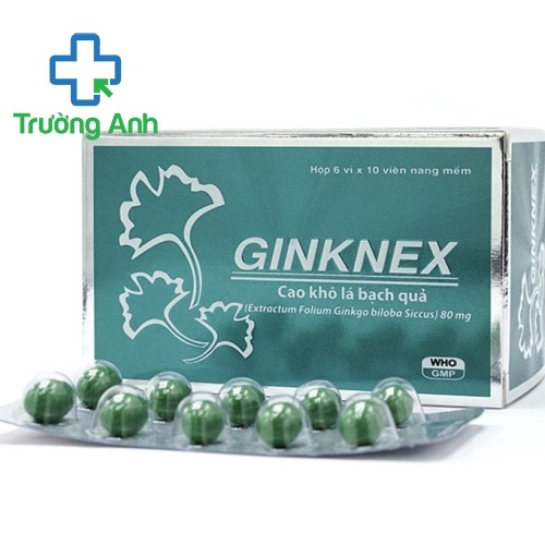 Ginknex 80Mg