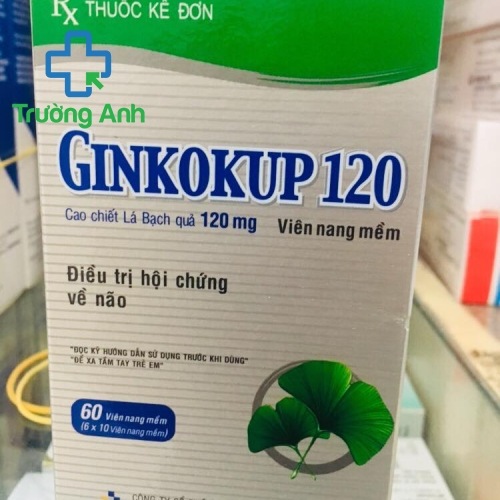 Ginkokup 120Mg