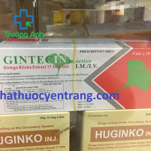 Gintecin 17.5Mg
