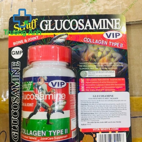 Glucosamin Schiff Collagen Type Ii