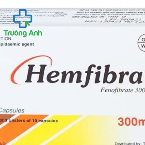 Hemfibrat 300Mg
