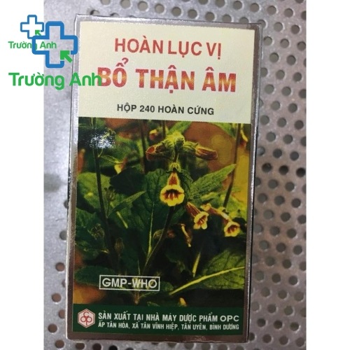 Hoàn Lục Vị Bổ Thận Âm