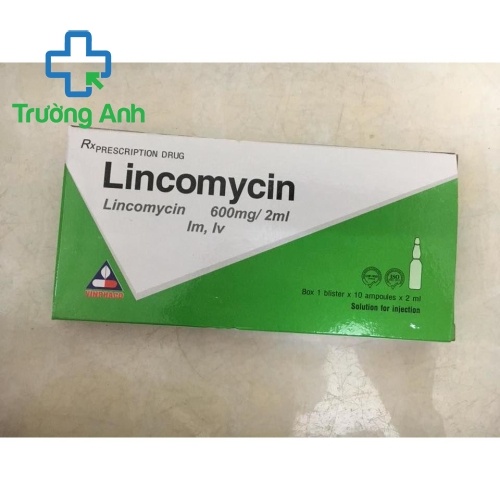 Lincomycin 600Mg/2Ml