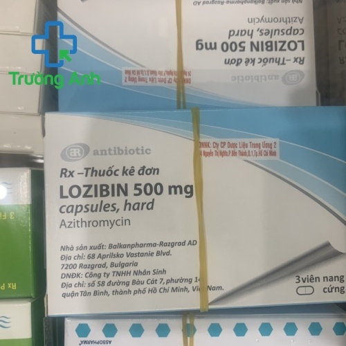 Lozibin 500Mg