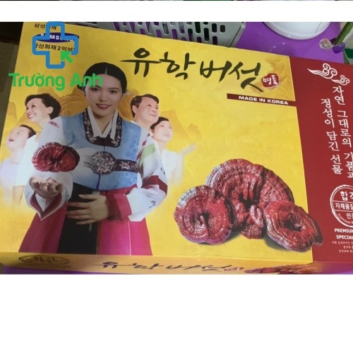 Nấm Linh Chi Hàn Quốc Cô Gái Sam Sung 1Kg