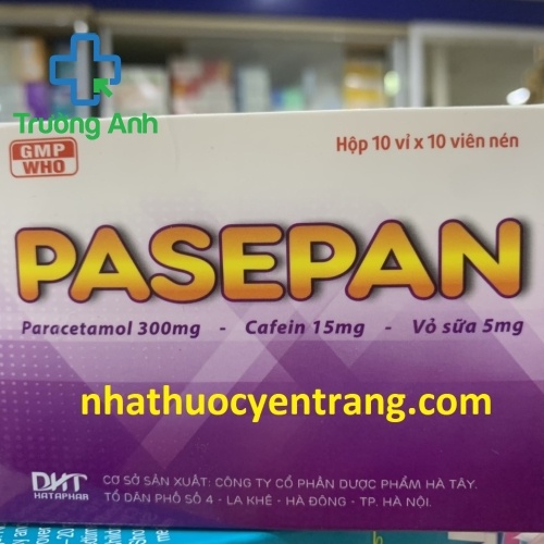 Pasepan 100 Viên