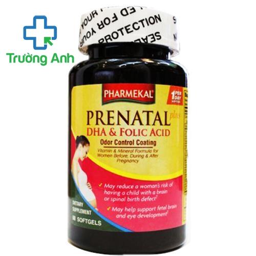 Prenatal Pharmekal