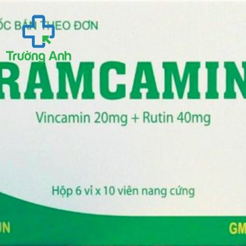 Ramcamin