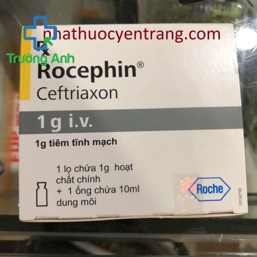 Rocephin Iv 1G