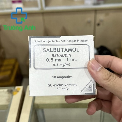 Salbutamol Renaudin 0.5Mg/Ml