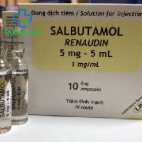 Salbutamol Renaudin 5Mg/5Ml