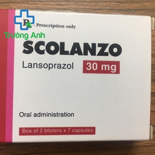 Scolanzo