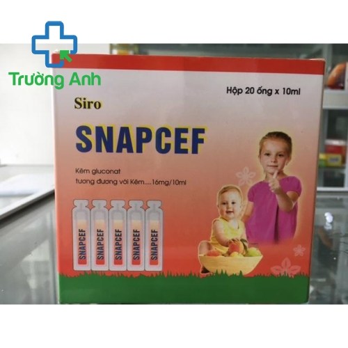 Snapcef