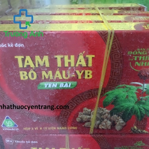 Tam Thất Bổ Máu - Yb