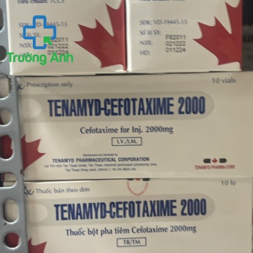 Tenamyd Cefotaxime 2G