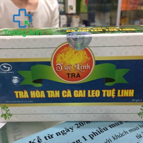 Trà Hòa Tan Cà Gai Leo Tuệ Linh