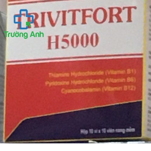 Trivitfort H5000
