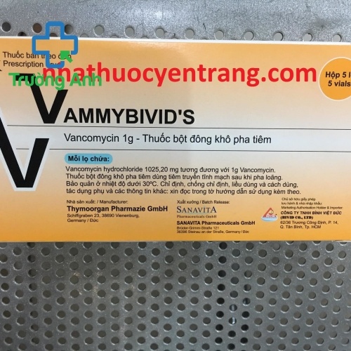 Vammybivid's 1G