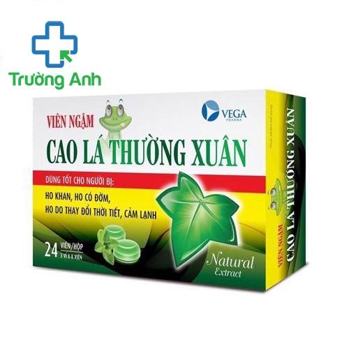 Viên Ngậm Cao Lá Thường Xuân Vega