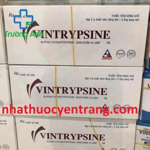 Vintrypsine 5000 Iu (5 Lọ)