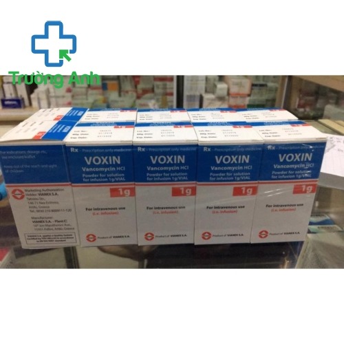 Voxin 1G